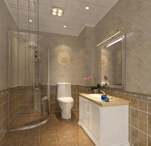 如何選購衛(wèi)生間瓷磚 衛(wèi)生間瓷磚選購注意事項(xiàng)